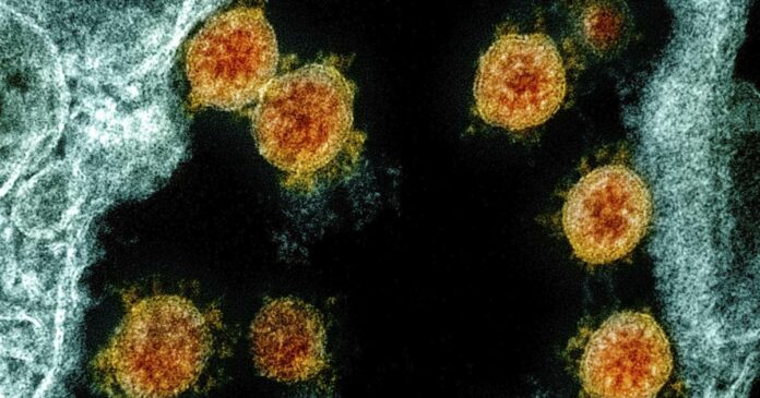 Cancer, coronavirus are a dangerous mix, new studies find