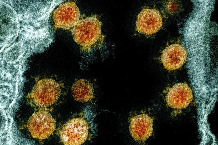 Cancer, coronavirus are a dangerous mix, new studies find