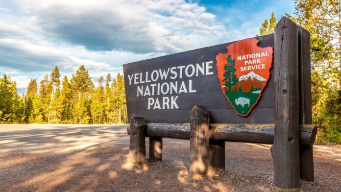 A 72-year-old woman was gored by a bison at Yellowstone National Park when she tried to take a picture