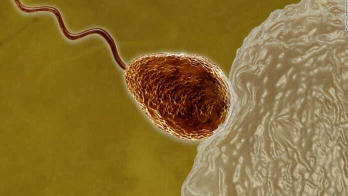 A woman’s eggs choose lucky sperm during last moments of conception, study finds