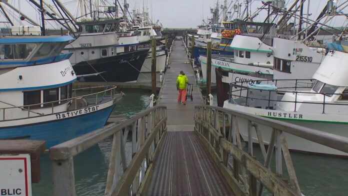 American Seafood trawler on lockdown after 85 crew members test positive for COVID-19