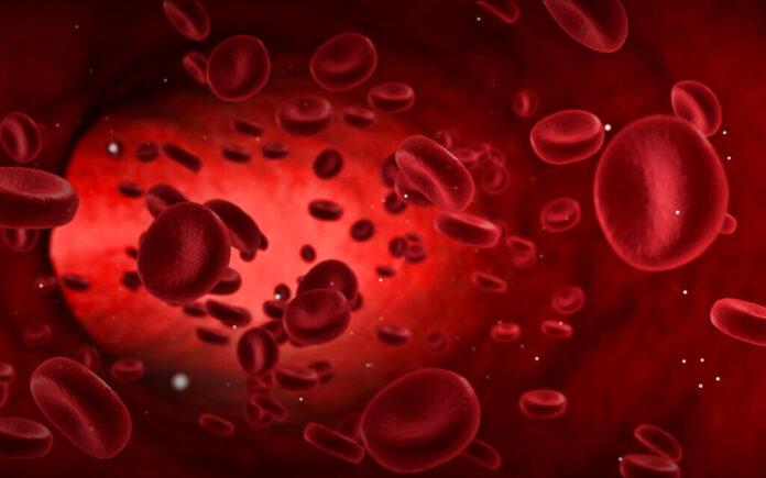 Blood type may determine one’s susceptibility to COVID-19, study indicates