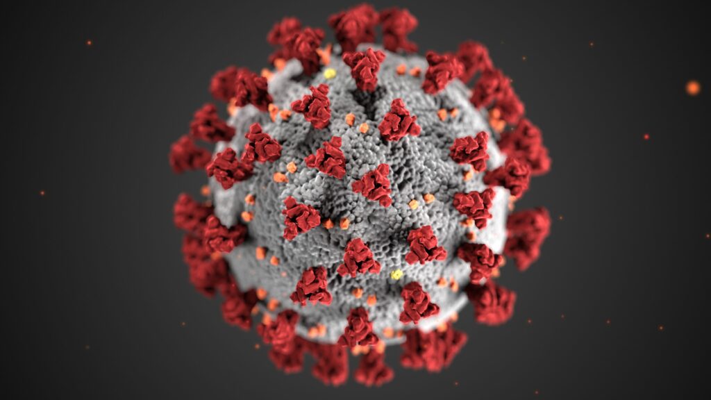 Coronavirus mutation may have made virus more contagious: report