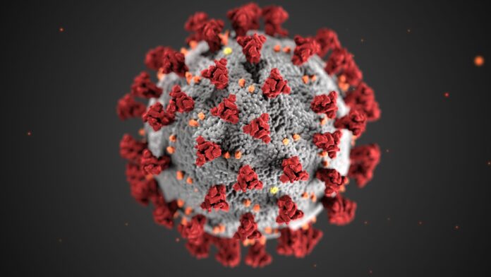Coronavirus mutation may have made virus more contagious: report