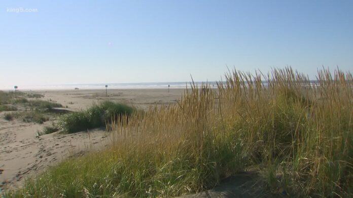 Coronavirus updates: Grays Harbor could be 11th Washington county to enter Phase 3 of reopening