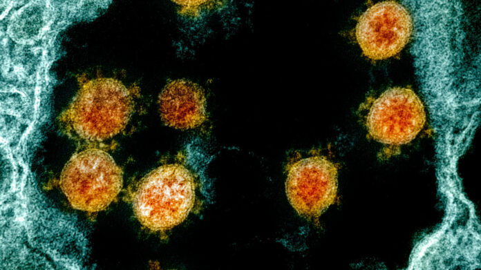 Coronavirus’s Genetics Not Changing Much, And That Bodes Well For A Vaccine : Shots