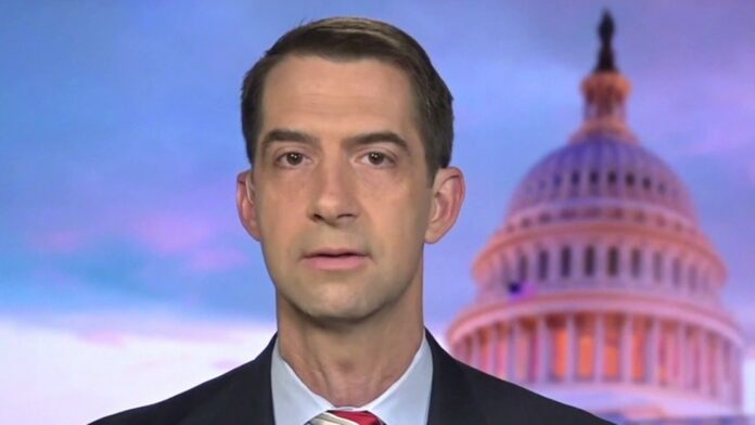 Cotton blasts Roberts over DACA, invites him to resign, run for office