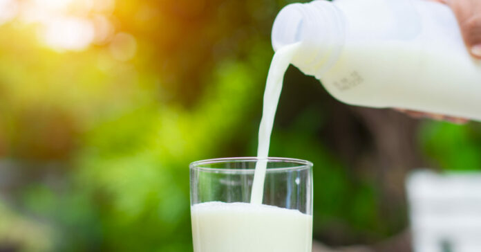 Could dairy protect against diabetes and hypertension?