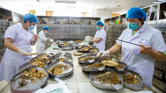 Covid-19: China pushes traditional remedies amid outbreak