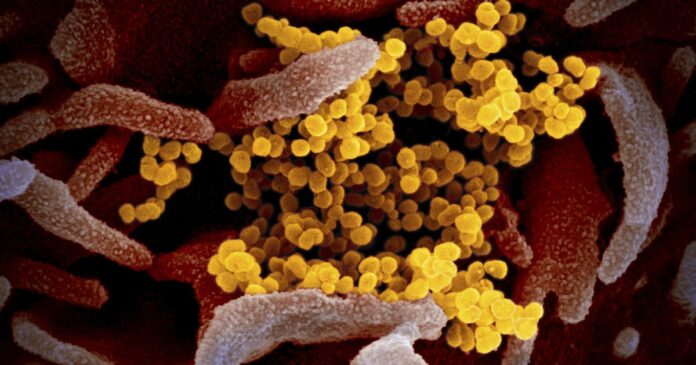 Dallas County reports 254 new coronavirus cases, no additional deaths