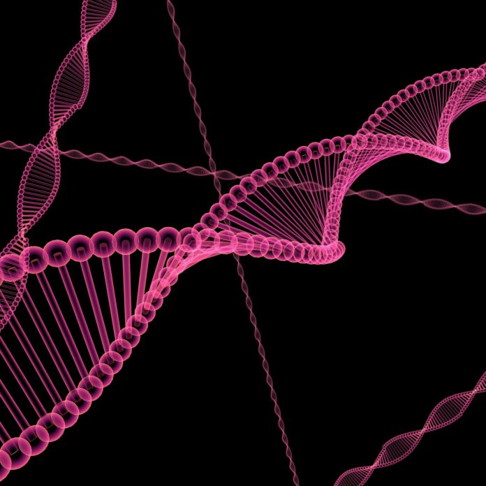 Denisovan DNA influences immune system of modern day Oceanian populations