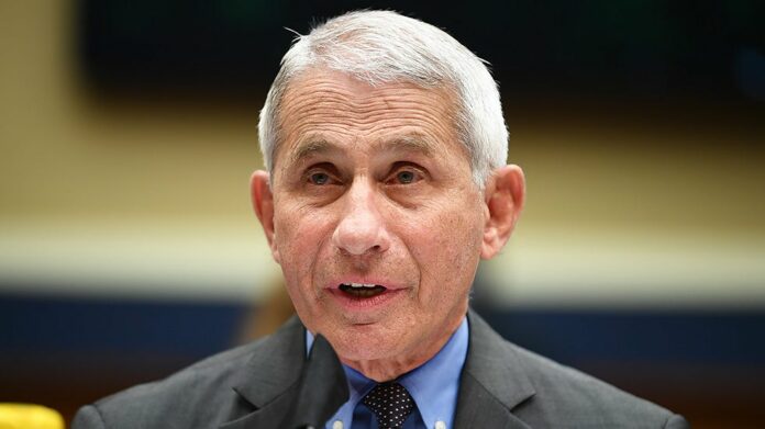 Fauci: Institutional racism playing role in disproportionate coronavirus impact on Black community | TheHill