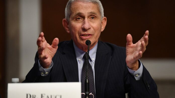 Fauci: US could see ‘100,000 Covid cases per day’
