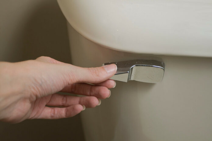 Flushing the toilet can spray coronavirus particles in the air: study