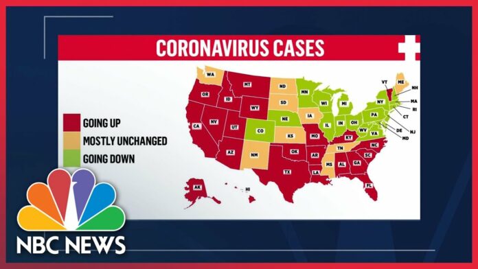 Former CDC Official Says Public Health Data Crucial For Communities To Beat COVID-19 | NBC News NOW