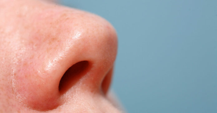 Friendly nasal bacteria may protect against sinusitis