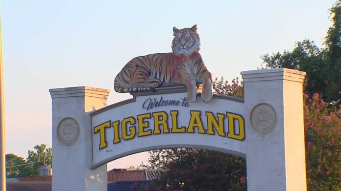 LDH links new COVID-19 clusters to New Orleans graduation party, Tigerland bars