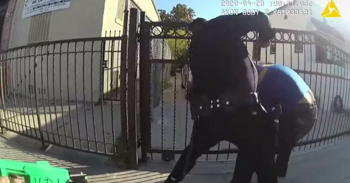 Los Angeles police officer accused of repeatedly punching man is charged