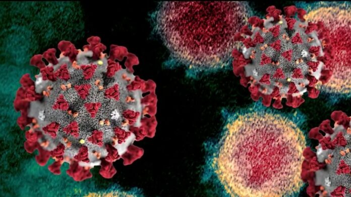 Minimizing everyday coronavirus risk: CDC posts long-awaited tips, guidelines
