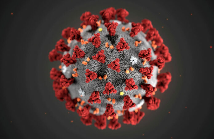 Mutated coronavirus strain is much more transmittable, study shows