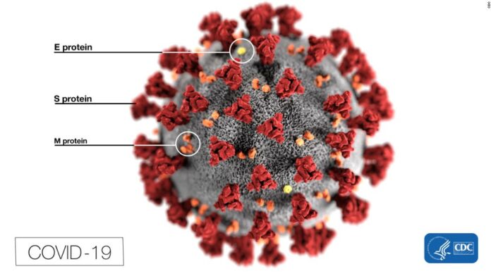 Mutation could make coronavirus more infectious, study suggests