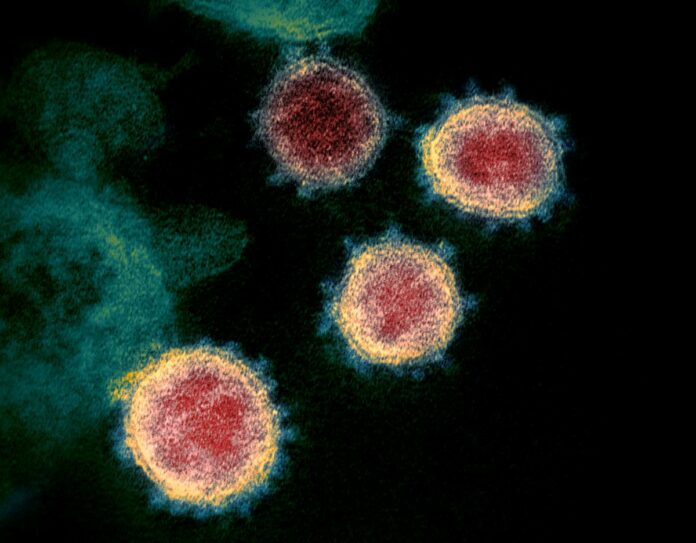 Mutation in new coronavirus increases chance of infection: study