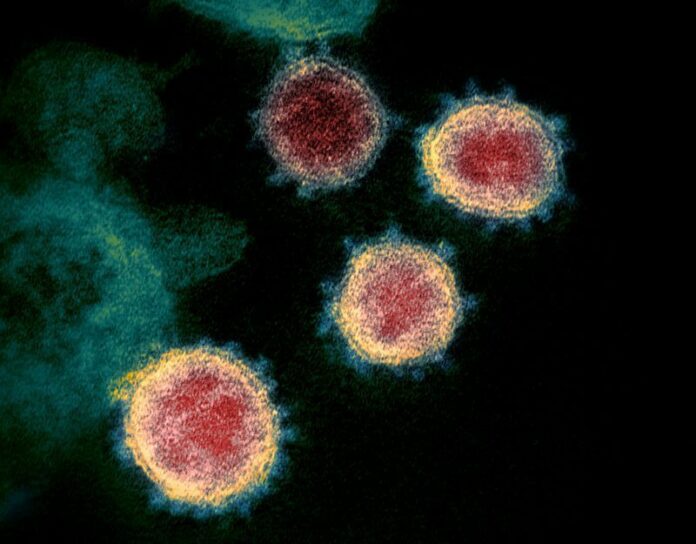 Mutation in new coronavirus increases chance of infection: study