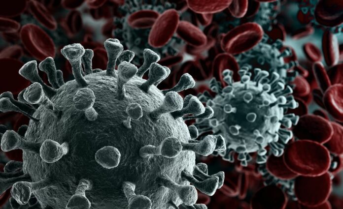 Mutation makes coronavirus ‘much more infectious:’ new study