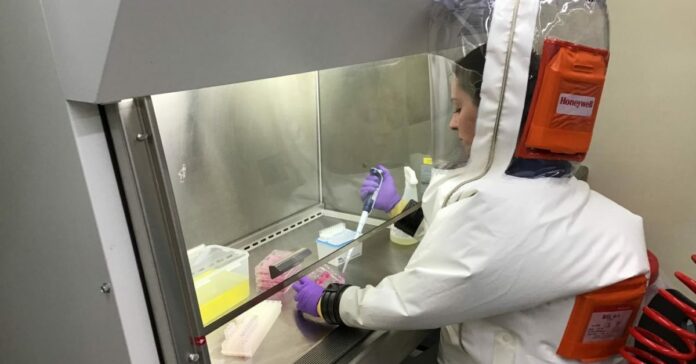 ‘Nanosponges’ act as a decoy for the new coronavirus
