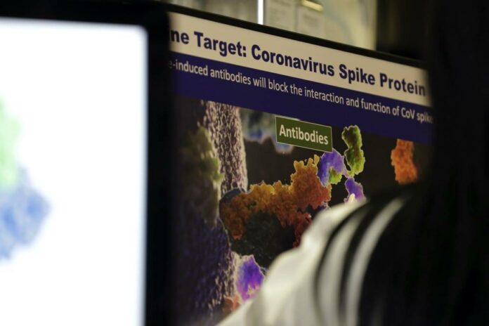 new-coronavirus-mutation-might-make-it-even-more-infectious.jpg New coronavirus mutation might make it even more infectious