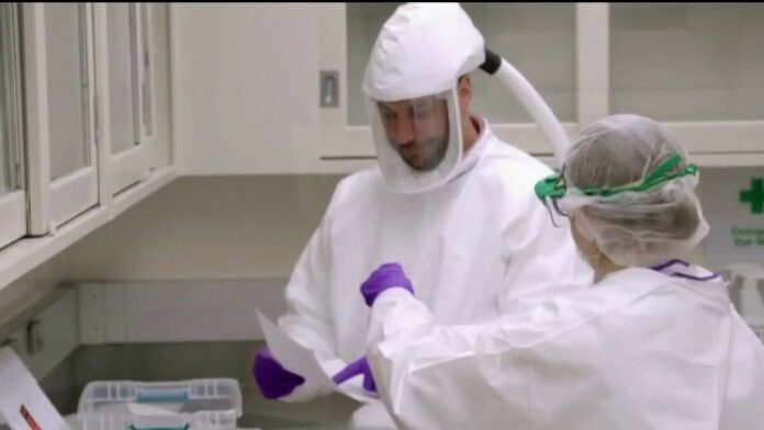 Newt Gingrich: Testing won’t help fight coronavirus unless we do this