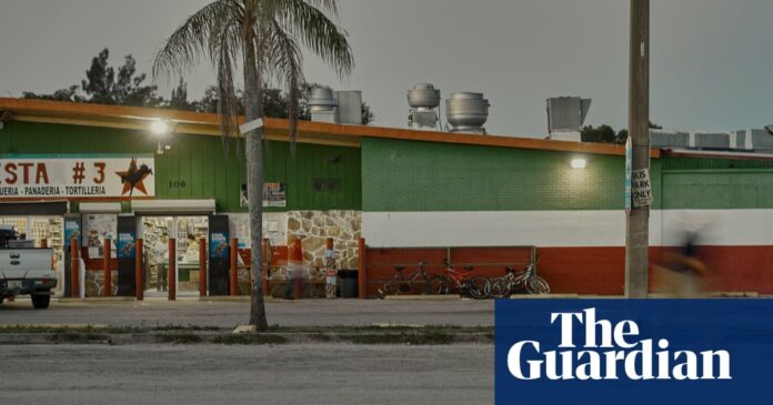 ‘Our bills won’t wait’: the Florida town where farm laborers risk their lives to work amid Covid-19