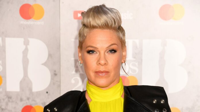 Pink slams ‘all lives matter’ critics in the comments of her protest photo: ‘Educate yourself’