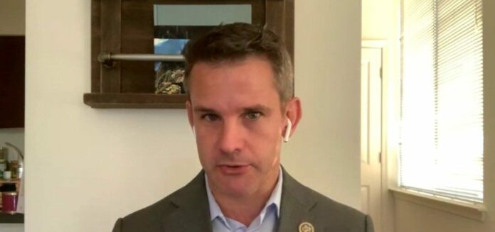 Rep. Adam Kinzinger calls on Americans to protect monuments, stop erasing U.S. history
