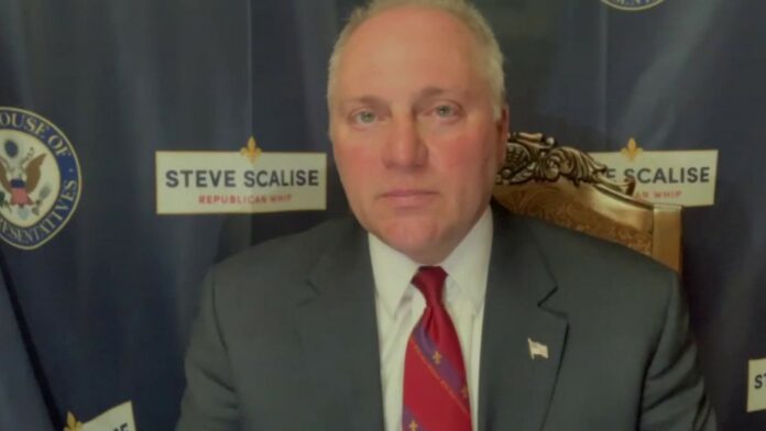 Rep. Steve Scalise blasts Democrats’ opposition to GOP police reform bill