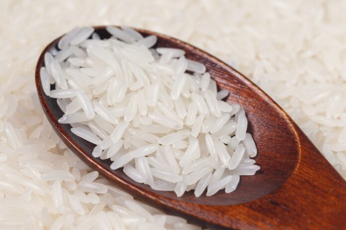 Rice Genetically Altered to Contain Anti-Hypertensive Peptides – Eating a Spoonful Lowers Blood Pressure