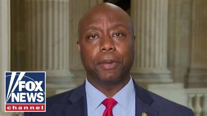 Tim Scott disappointed by partisan divide on police reform, slams Pelosi