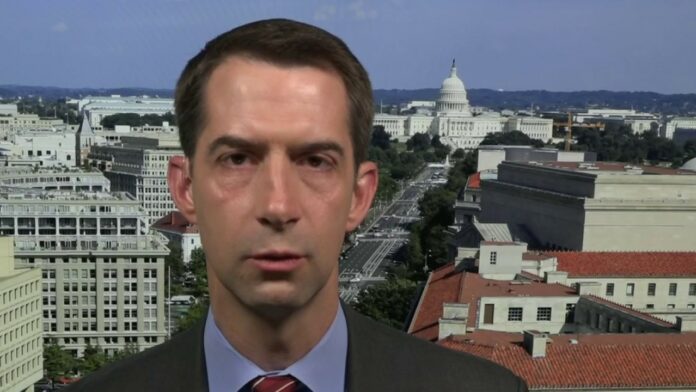Tom Cotton: Anarchy, riots have nothing to do with Floyd death, ‘it ends tonight’