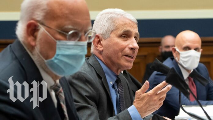 WATCH: Fauci testifies in front of Senate on coronavirus response