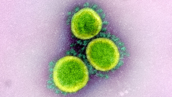 What we do know — and don’t know — about the coronavirus at day 100 of the pandemic