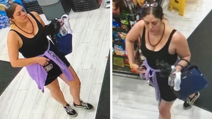 Woman suspected of burning Atlanta Wendy’s may have been Rayshard Brooks’ girlfriend