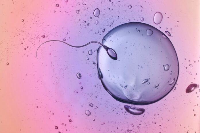 Women have very judgmental eggs when it comes to sperm, study finds