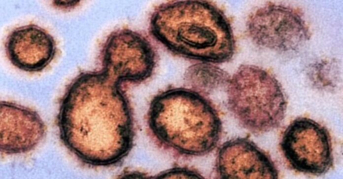 239 scientists warn World Health Organization of airborne transmission risks from coronavirus