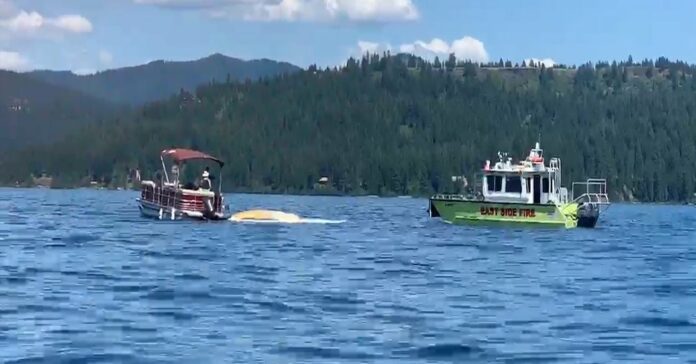 8 People Believed Dead After Planes Collide and Crash Into Idaho Lake
