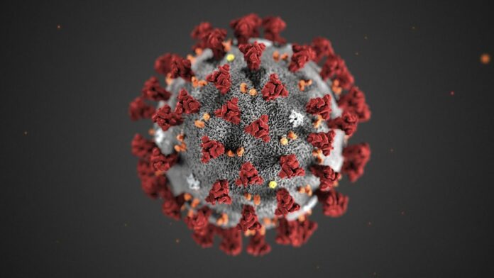 A ‘viral stun gun’: How monoclonal antibodies can help fight COVID-19