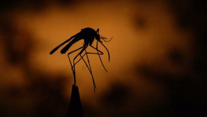 At least 2 people infected with West Nile virus in in L.A. County, officials say