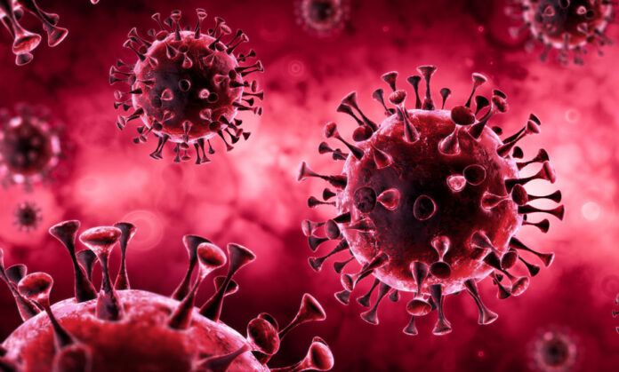 bingham-county-sees-new-covid-19-death-eiph-passes-regional-covid-19-response-plan.jpg Bingham County sees new COVID-19 death; EIPH passes Regional COVID-19 Response Plan