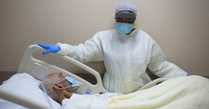 California, Florida and Texas report highest daily coronavirus death tolls