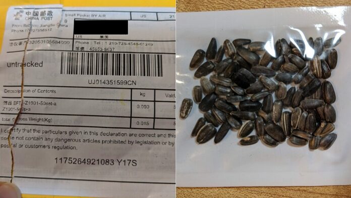 China plant seeds mystery solved? Police, officials think packages sent to US homes could be tied to scam r…