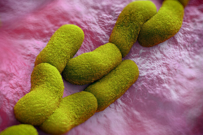Colorado confirms first human case of bubonic plague since 2015